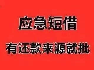 [芜湖贷款-无为空放-芜湖私人-芜湖私人借款-巢湖短期资金周转]坏账与盈利成上市公司累赘 小贷传统模式通道逼仄